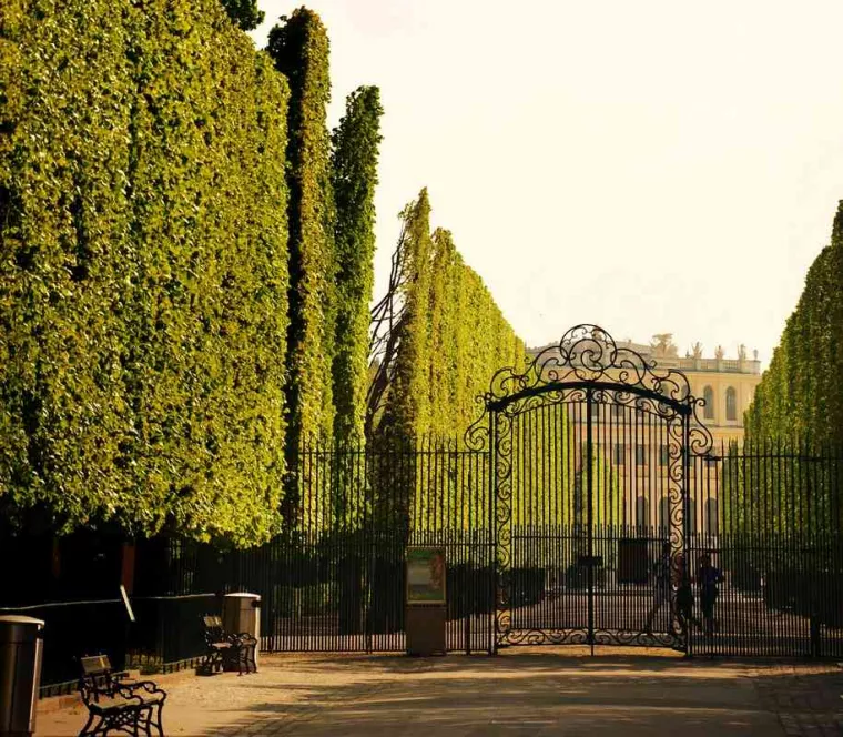 Rénovation d'un portillon métallique en forme de feuille de vigne, Bordeaux, Atelier FORTIN